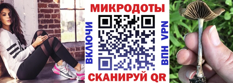 Купить  Киселёвск  Псилоцибиновые грибы MAGIC MUSHROOMS 